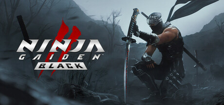忍者龙剑传2：黑之章|v1.0.7.0|官方中文|支持手柄|NINJA GAIDEN 2 Black